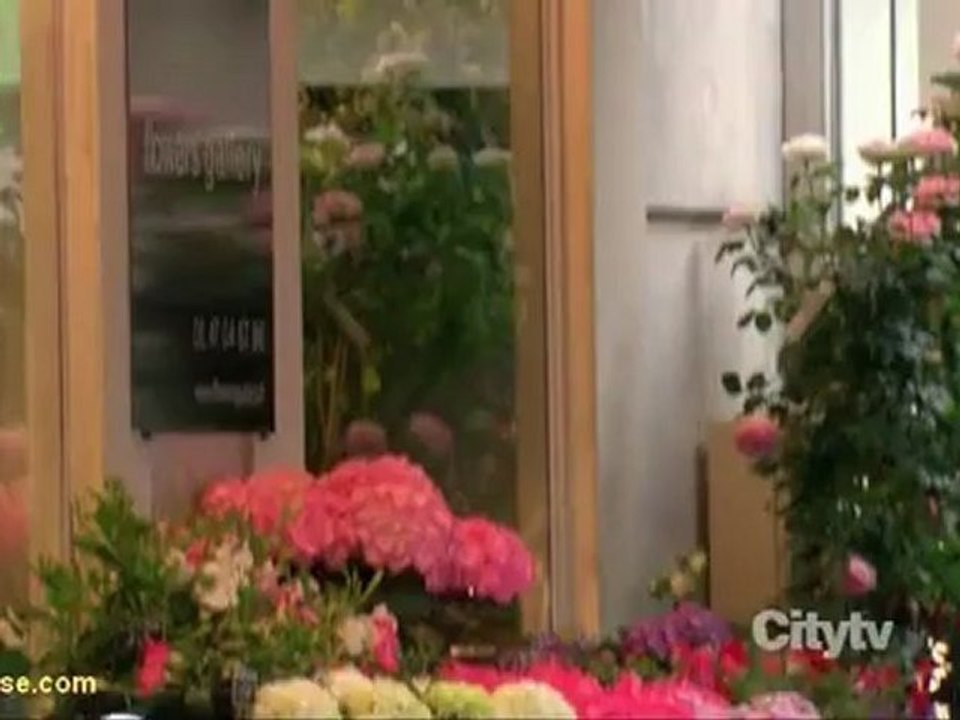 Laura B and Brad's date