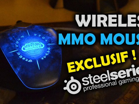 Wireless MMO mouse Steelseries (Mists of Pandaria)