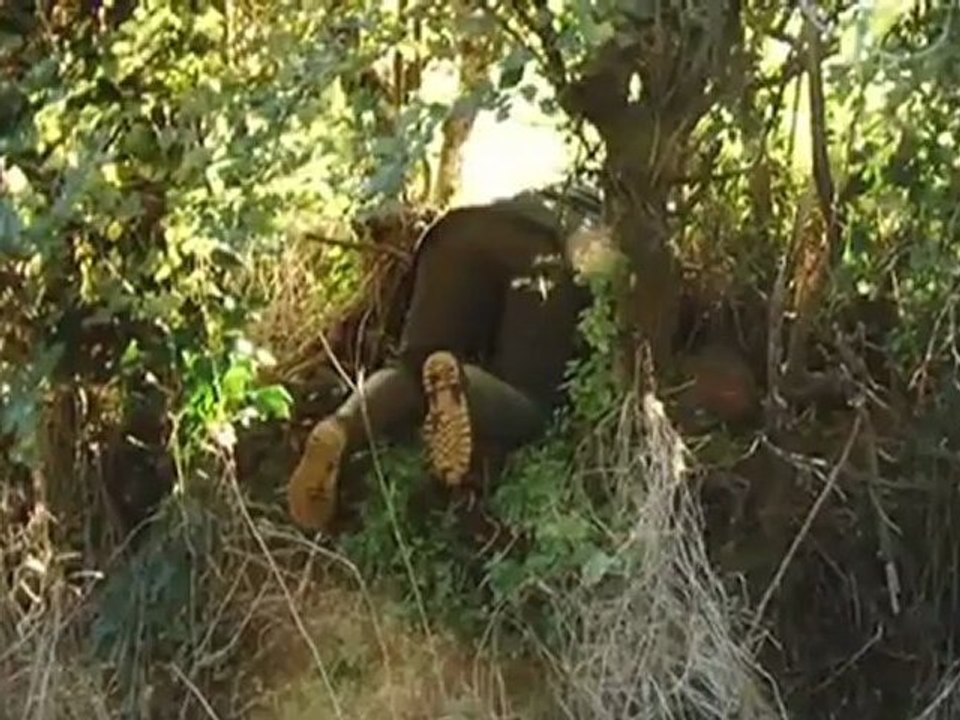 Gran Bretaña: tejones en el punto de mira | Europa semanal