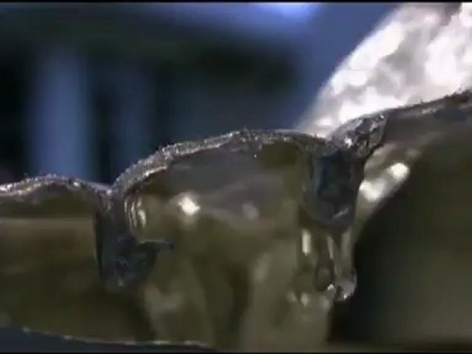 Leaf Solution Gutter Guard Protection