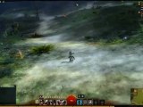 Guild Wars 2 - General Explanation - Skills, Quests, etc