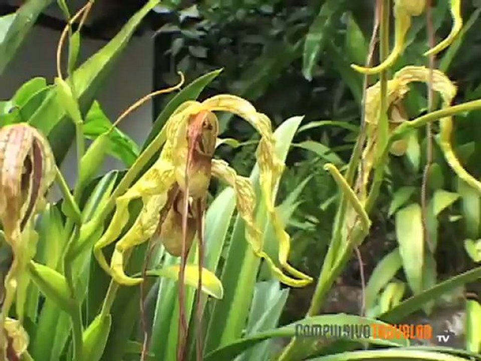 Inkaterra Reserva Amazonica