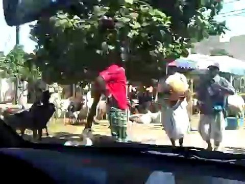 VID 00007-20121025-1442