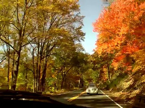 Classic VW BuGs 2012 Fall Foliage Air-Cooled Beetle Cruise Convoy