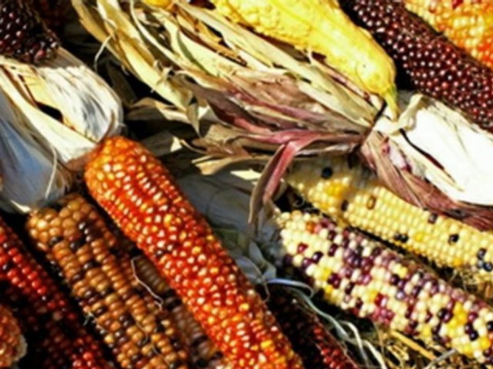 Dewlemendî ya Kurdistana Pîroz - 1