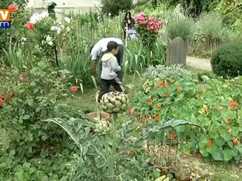 512 espèces florales menacées en France