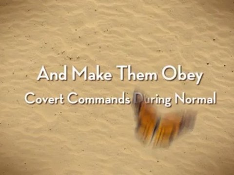 Igor Ledochowski Power Of Conversational Hypnosis - Free Covert Hypnosis Course