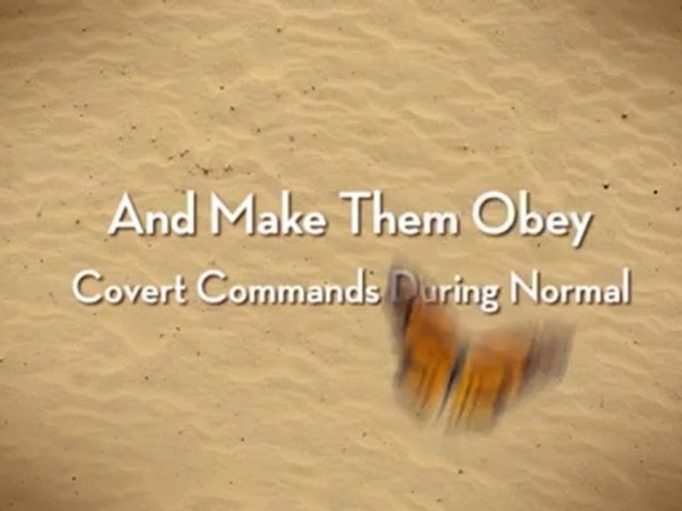 Igor Ledochowski Power Of Conversational Hypnosis - Free Covert Hypnosis Course