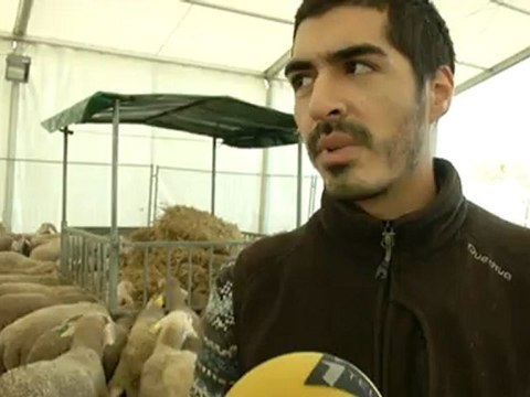 Les musulmans fêtent l'Aïd el-Kebir