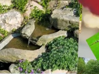 Little River Lawn & Landscaping (919) 344-8855