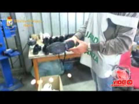 Napoli - Scoperta fabbrica di Hogan False (live 23.10.12)