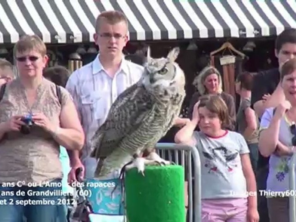 2 sur 5 - Les 800 ans de Grandvilliers (60) ANIMALS ans C° ou L'Amour des rapaces