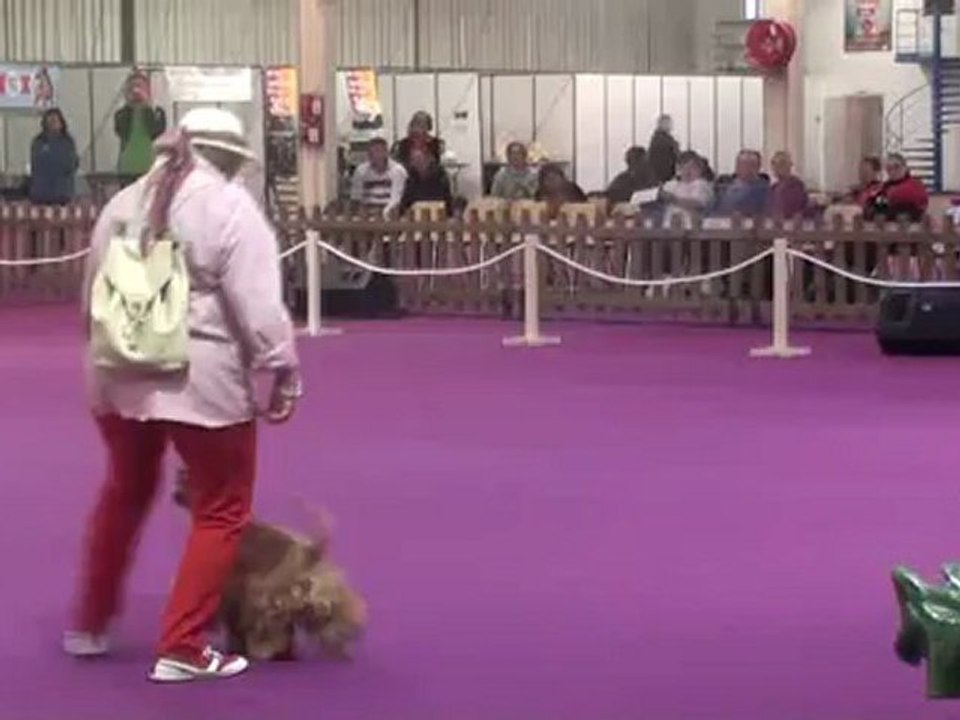 20121021121336