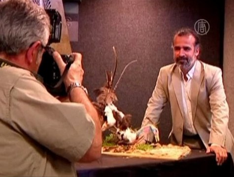 Палеонтологи нашли динозавра размером с курицу