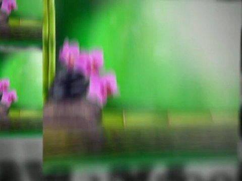 World Of Kitchens & Bathrooms Kitchens Derby Kitchen Feng Shui