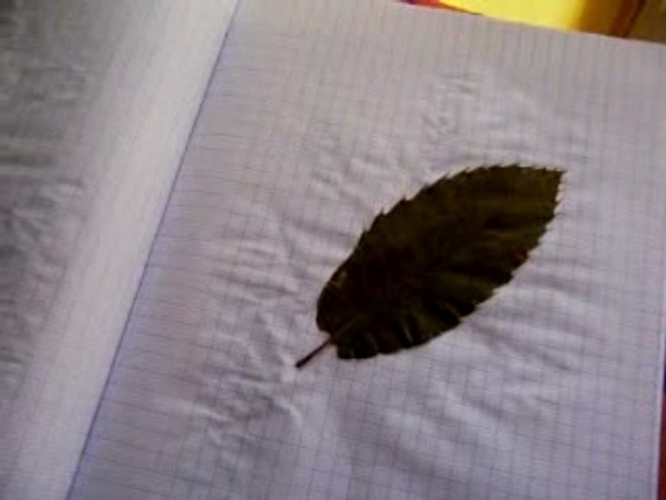 Pour s'occuper