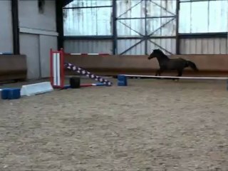 Balkyrie des Edènes