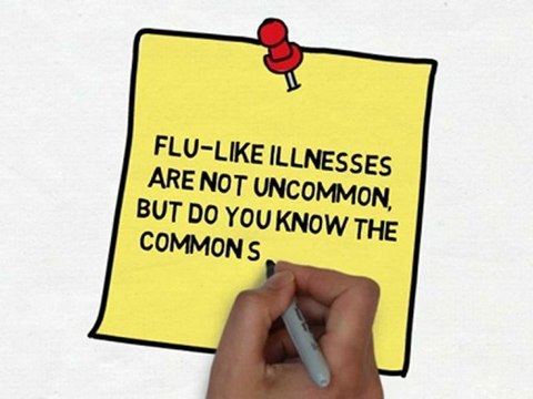 Flu Like Illnesses and Symptoms