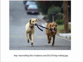 Machine Learning: Crossing the Barrier of Meaning