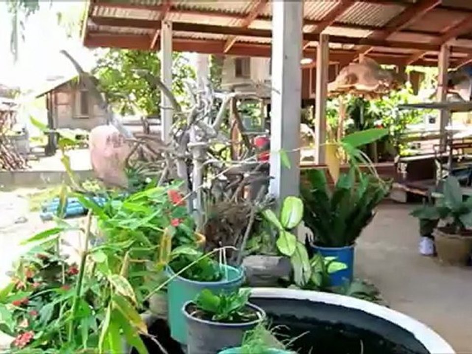 Nong Tap Khoi