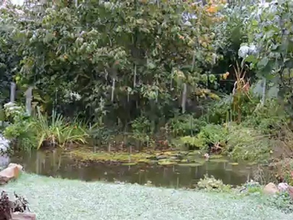 il neige