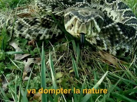 Far Cry 3 (PS3) - Far Cry Experience : Teaser de la Web série