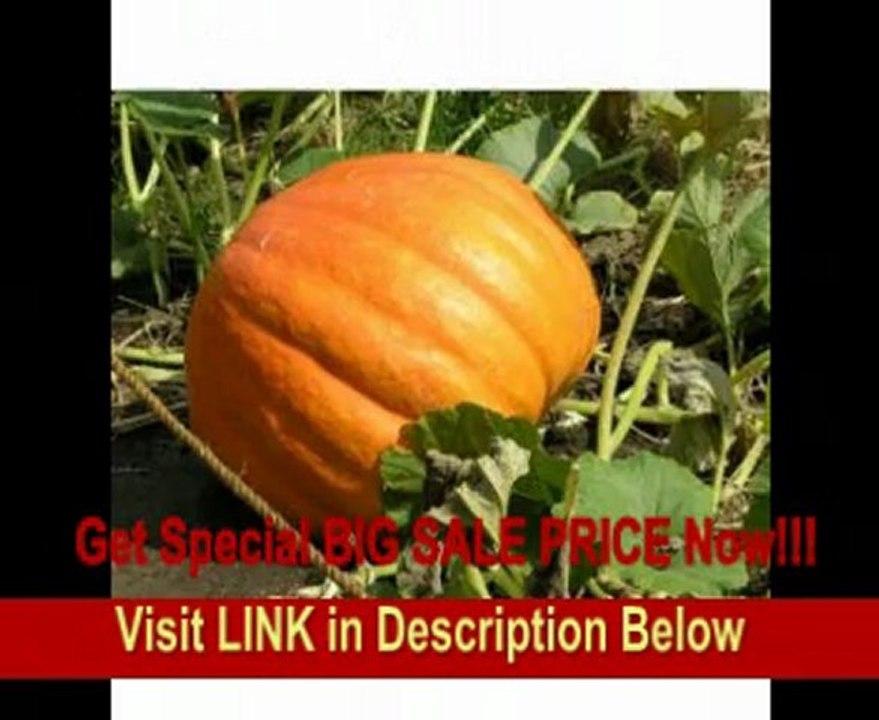 Sony HDR-XR500V 120GB HDD High Definition Camcorder w/12x Optical Zoom