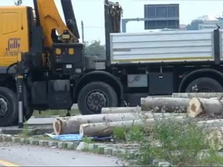 Icaro Tv. Santarcangelo, camion perde tronchi in strada.