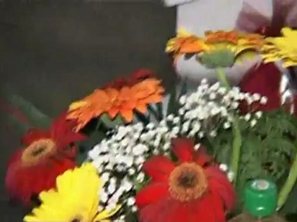 DVD 4   salon 2