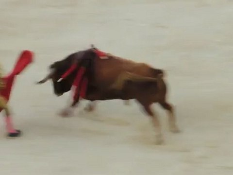 NIMES VENDANGES 2012 JAVIER CASTANO - TORO MARGÉ
