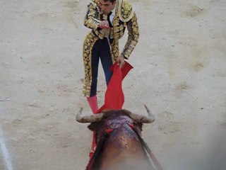 javier castano vendanges 2012