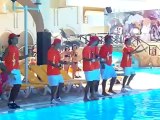 danse du club Dar Djerba Marmara  - Gustavio.....