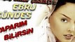 Ebru Gündes - Yaparım Bilirsin 2012 (Dj ÖMER58 Remix) http://www.facebook.com/djomercigrikci
