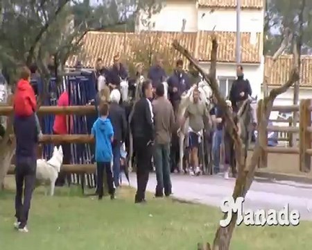 Aigues-Mortes 2012 2-2