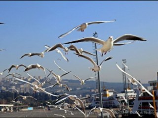 Uzun Hikaye Ah bu Gönül Şarkıları