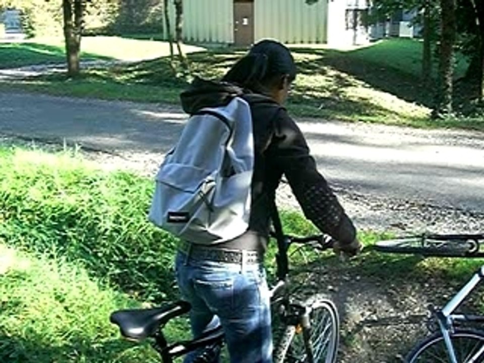 Elle aussi est tombée !