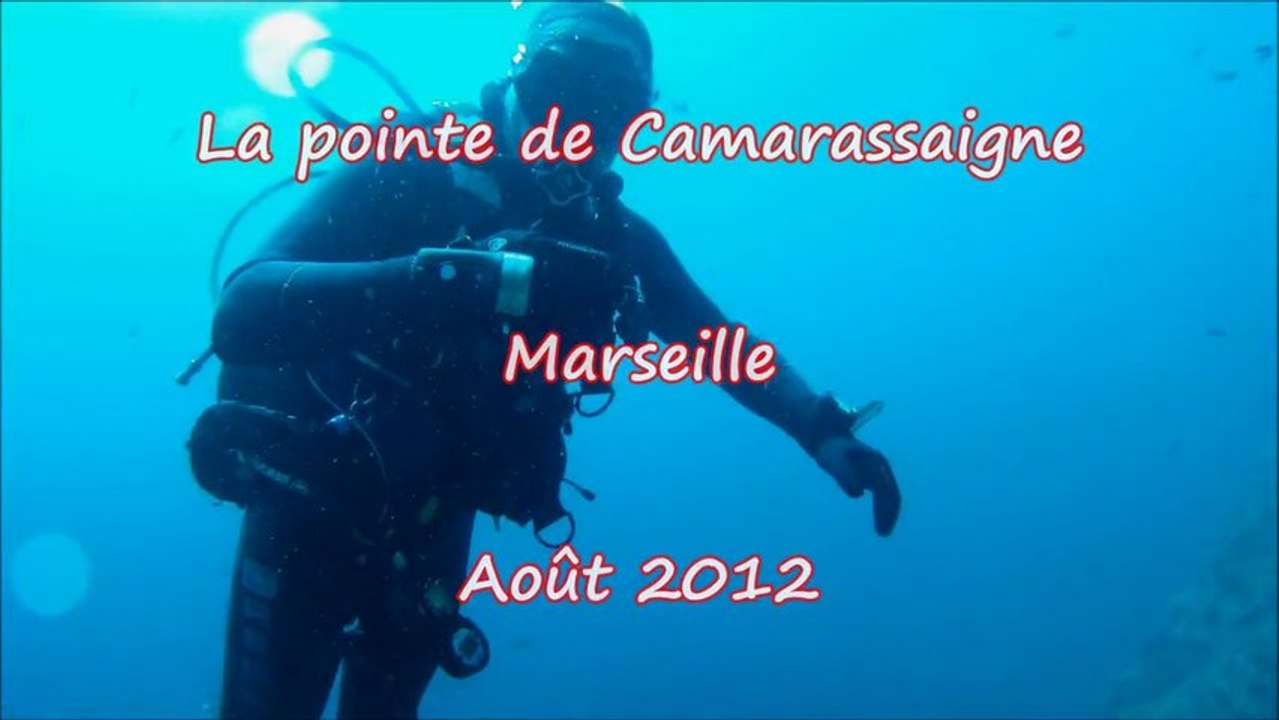 Plongée : La pointe de Caramassaigne  HD   gopro