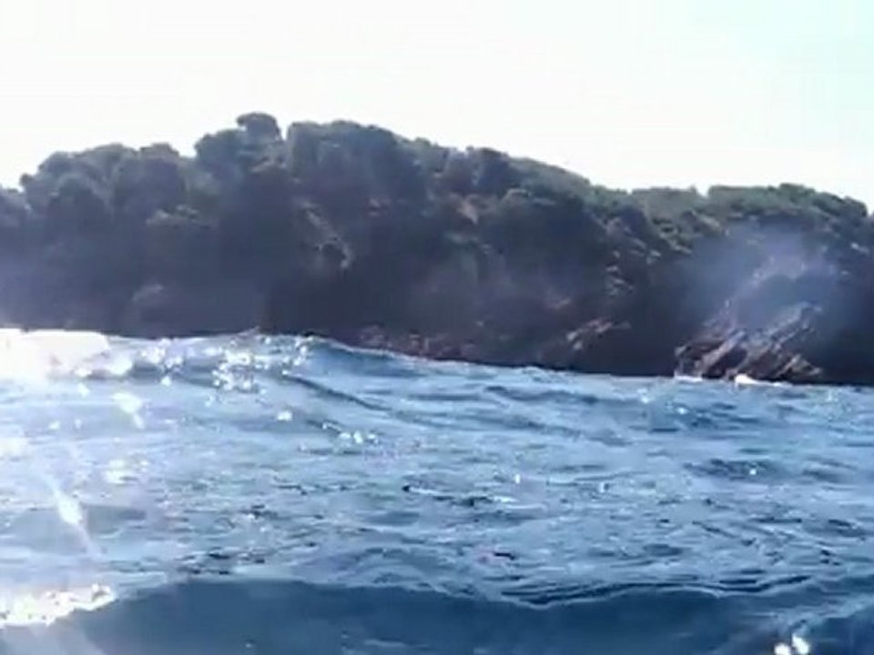 PLONGEE SOUS-MARINE LA CIOTAT