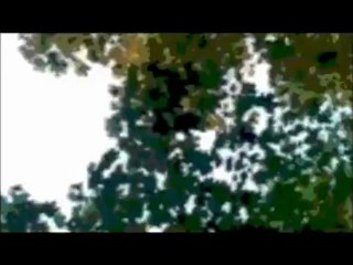 hospital NEON - Evergreens