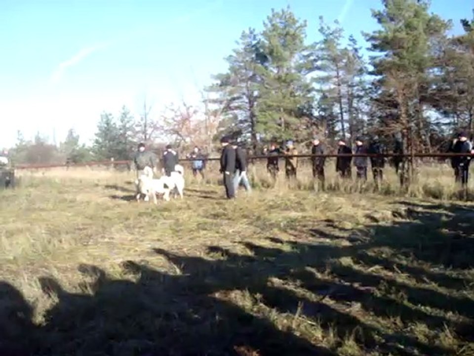 MOV00398
