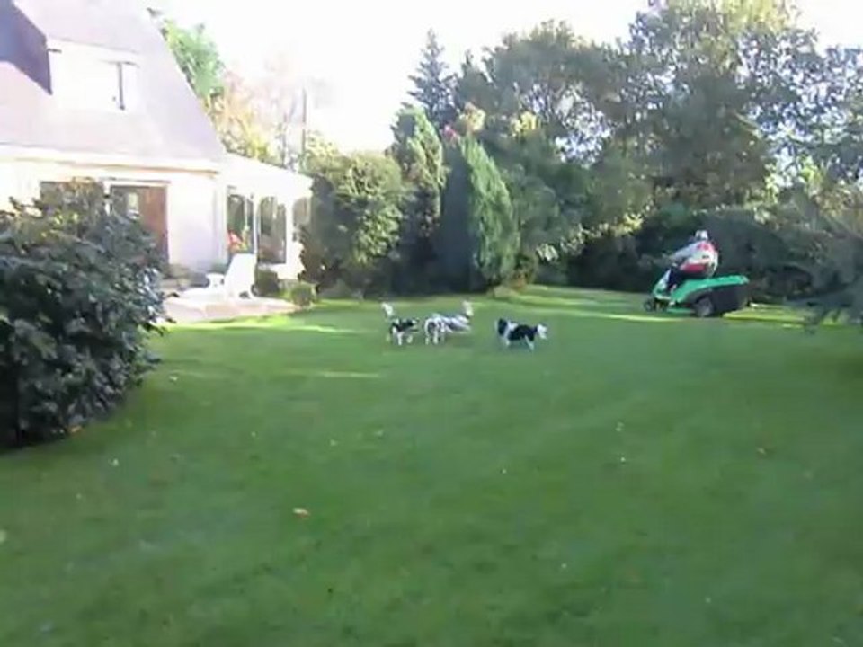 Dans le jardin cet après midi