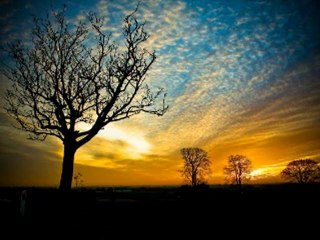 sascha funke vs nina kraviz - moses  - YouTube_40.swf