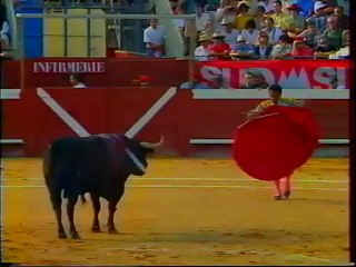 MORENITO DE MARACAY A FLOIRAC