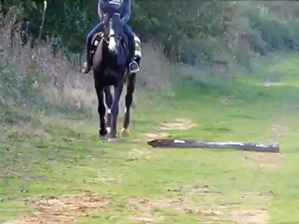 Cuba Libre - ligne de tronc saut avec Armandine 27-10-12 (2)