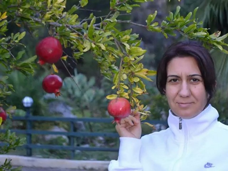 Dalyan- İstuzu SULUNGUR GÖLÜ PİKNİK