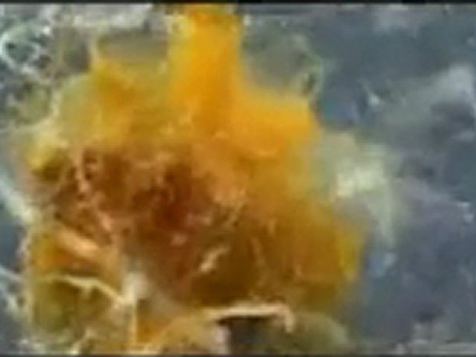 Bir mermi neler yapabilir