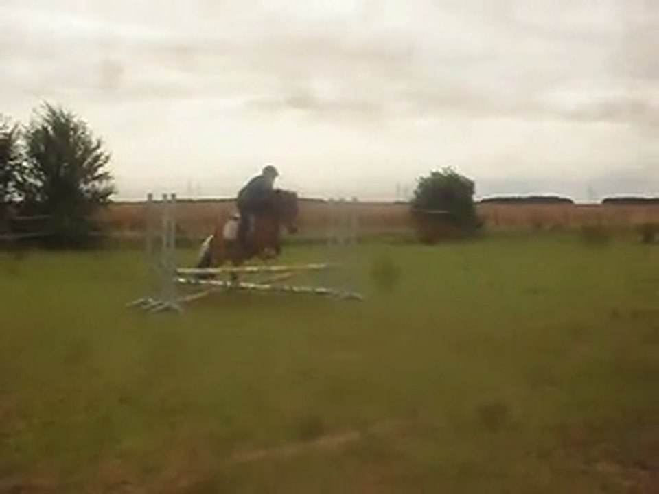 Saut d' obstacles à poney, stage "Les poneys de Sophie 77" Oct 2012.