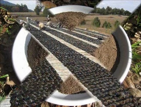 bat-bat.com - yarasa gübresi 15