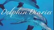 History Book Review: Dolphin Diaries: My 25 Years with Spotted Dolphins in the Bahamas by Denise L. Herzing