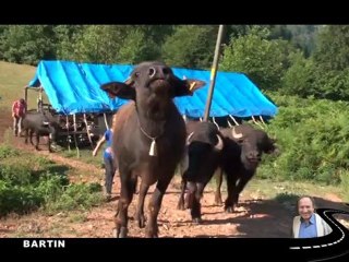 ALİ ADIGÜZEL'LE ADIM ADIM-BARTIN